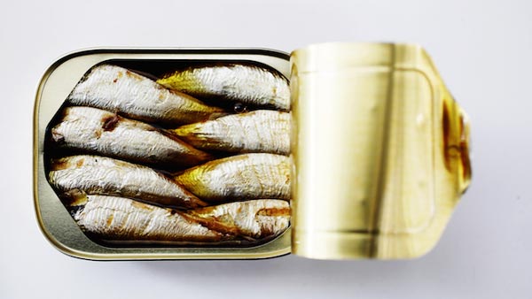 فروش کنسرو ماهی ساردین خارجی + قیمت خرید به صرفه